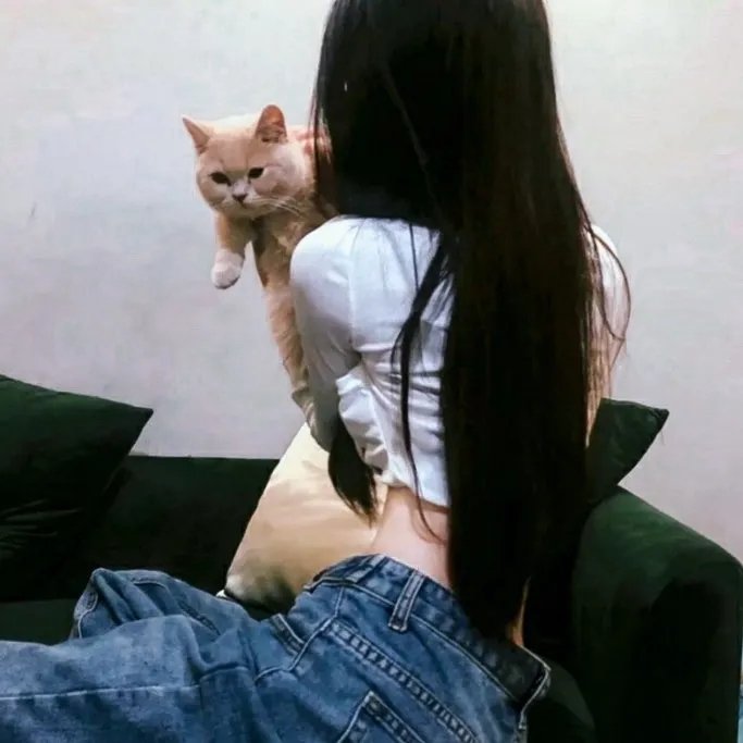 杨光的快乐生活2